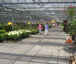 Plantencentrum Velden afbeelding 5