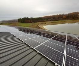 Tranier Pierre image 3