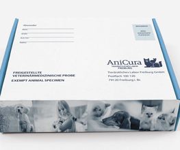 Werbeagentur concept your design Bild 31