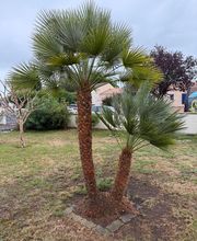 Tendances Paysage image 4