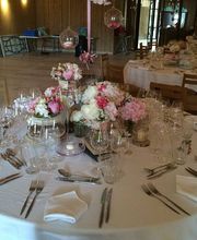 Pym Réception image 3