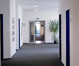 Ein Bild vom hellen Flur mit Blick auf eine Glastüre und Zimmerpflanze.