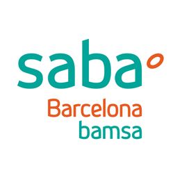 Parking Saba Bamsa Plaça dels Àngels
