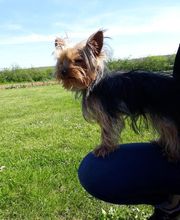 Leprat Sonia image 4