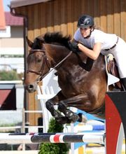 Manège de la Sallivaz & Poney club Bild 3