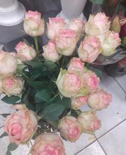 Fleurs Village image 13