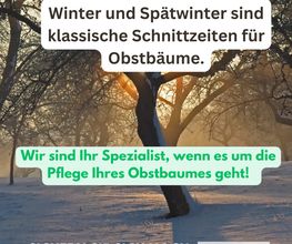 Obstbaumschnitt