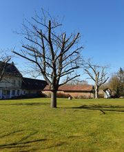 Atout Jardins image 4