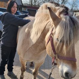 Mela Mobil Tierphysio