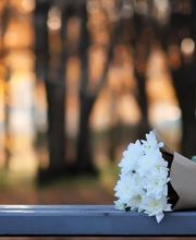 Onoranze Funebri Locatelli Sagl Bild 4