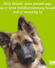 LVM Versicherung Jens Arndt - Versicherungsagentur Bild 6