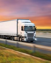 ALZIFRESH LOGISTIC imagen 6