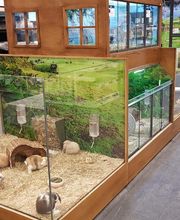 Animalis Plan de Campagne image 4