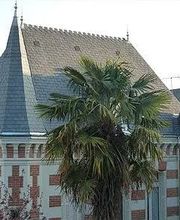 Babin Benoît SARL image 1