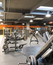 Basic-Fit Ladies afbeelding 2