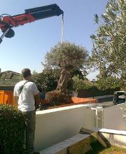 INDIGO JARDINES imagen 15