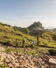 Botanischer Alpengarten Schynige Platte Bild 2