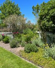 Jacobs Berry Farm image 6