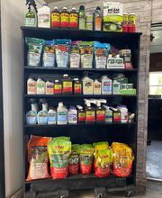 Laurie's Naturescapes image 7