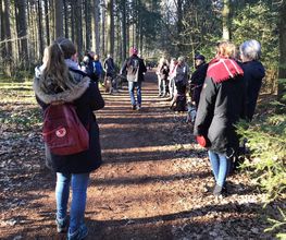 RolfsRudel Hundeschule / Rolf Matar Bild 17