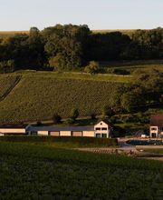Domaine Gautheron Alain Et Cyril SCEV image 4