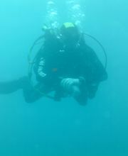 Domenico Rizzi immagine 19