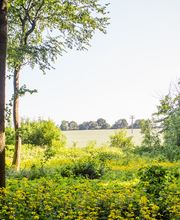 Herrenhaus Samow Bild 9