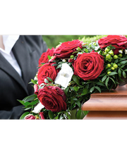 Hans Reiner Stocks Bild 1