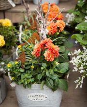 Garten-Center Kremer GmbH Bild 2