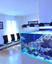 Zahnarztpraxis Beat Walther AG Bild 1