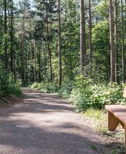 Die Hauptwege im FriedWald Oberau sind gut begehbar - Bänke laden zum Verweilen ein.