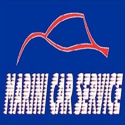 Marini Car Service logo