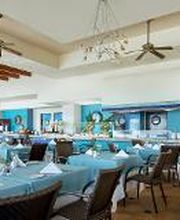 La Claraboya imagen 4