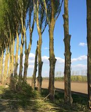 Entreprise JCL image 4