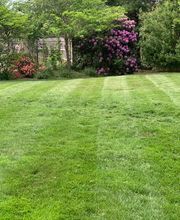 Brace Lawn Care image 10