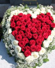 Blumen Kilger Bild 1