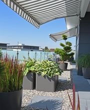 gartenbaumann AG Bild 7