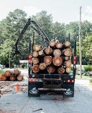 Top Tier Trees image 4