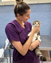 Vet Village - Policlinico Veterinario e Pronto Soccorso h24 immagine 7