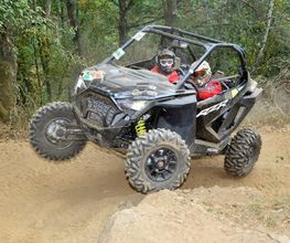 Quad Action SARL image 3