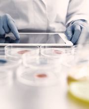 DORNER Health IT Solutions