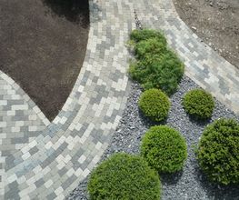 Arifi Gartenbau GmbH Bild 5
