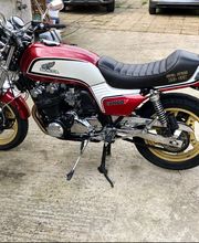 Sellerie Vigneulle image 7