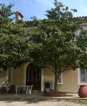 ISA Auriculothérapie image 4