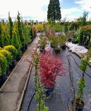 Kienzle Garten GmbH Bild 4