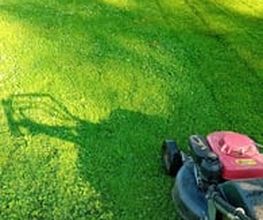 Jardines_La_Sierra_Moralzarzal_Jardineros_Podas_Cesped_Tejados_Canalones_6.jpeg