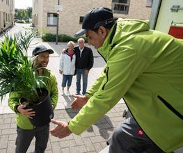 Sorglos Umzüge & Entrümpelungen Bild 5