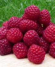 Böllenhof Himbeeren