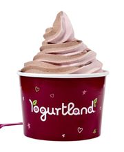 Yogurtland Las Vegas image 17