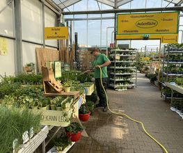 Pirig Gartencenter Bild 14